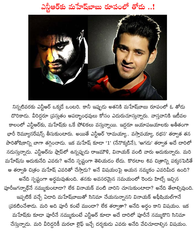 jr.ntr,mahesh babu,jr ntr flop movies,mahesh babu flop movies,mahesh babu koratala shiva combo,puri jagannath,v.v vinayak,rajamouly  jr.ntr, mahesh babu, jr ntr flop movies, mahesh babu flop movies, mahesh babu koratala shiva combo, puri jagannath, v.v vinayak, rajamouly